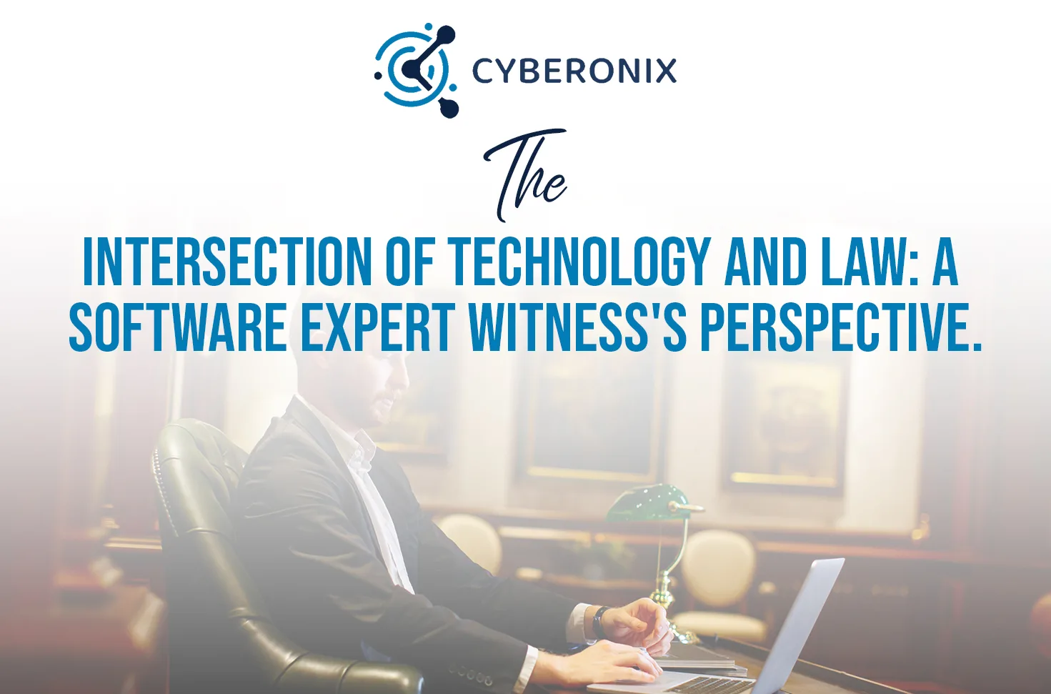 The Intersection of Technology and Law A Software Expert Witness's Perspective